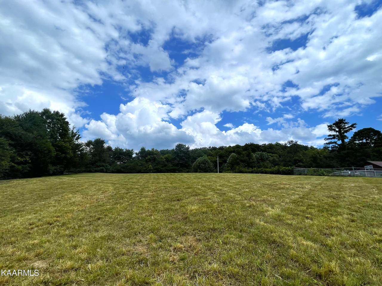 Schisandra Lane - Photo 1