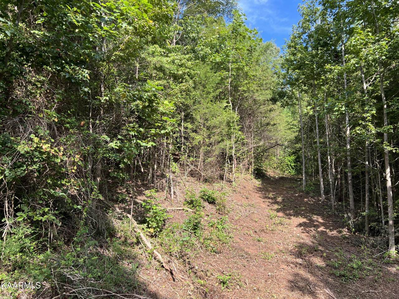Lot 32 Springwater Run - Photo 1