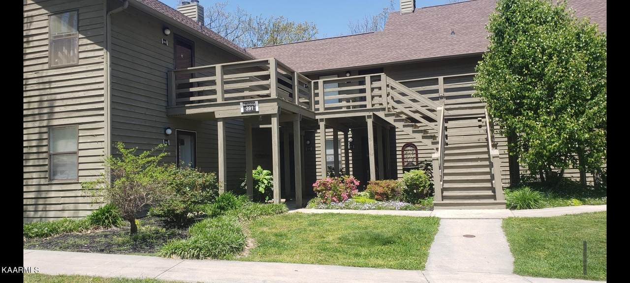 391 Moytoy Road Rd - Photo 1