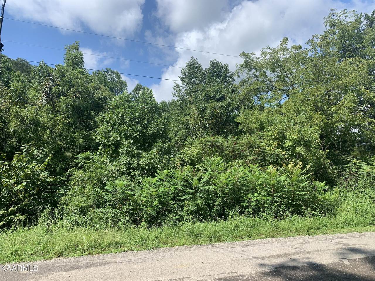 Cook Mill Rd - Photo 1