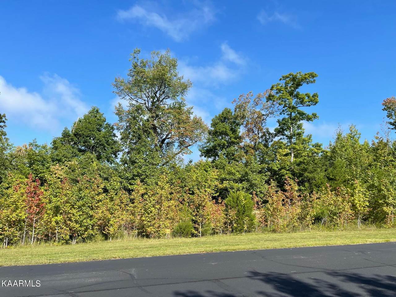 Water View Drive - Photo 1