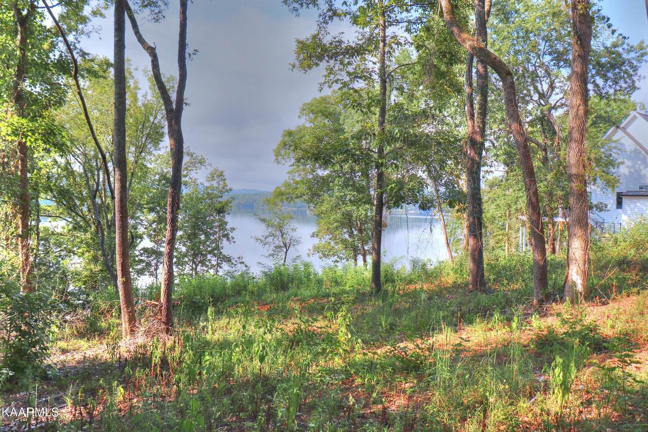 Lot 176 Shore Drive - Photo 1