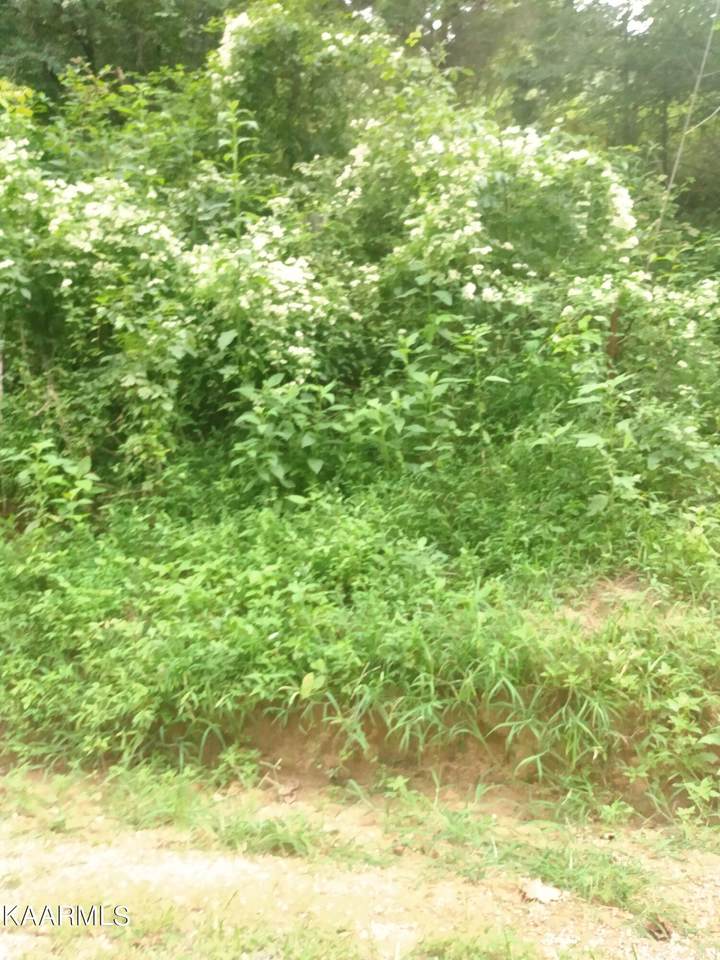 Miller Rd - Photo 1