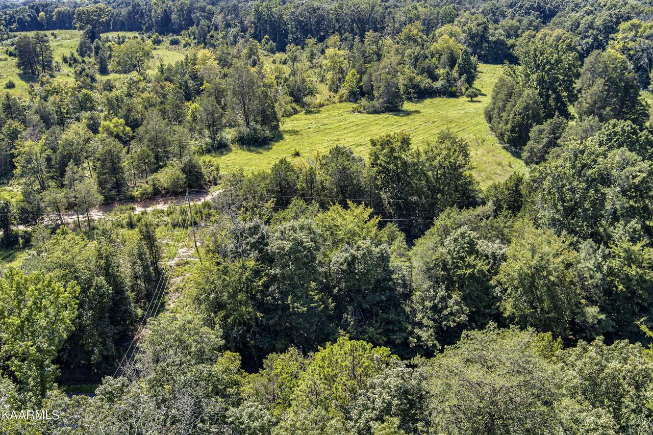 1484 County Road 130 - Photo 1