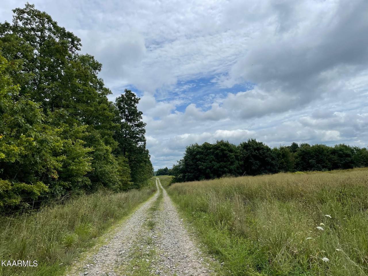 Dripping Springs Road - Photo 1
