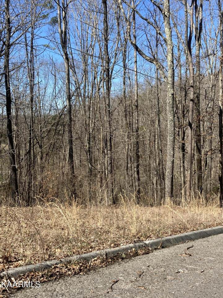 000 County Road 200 - Photo 1