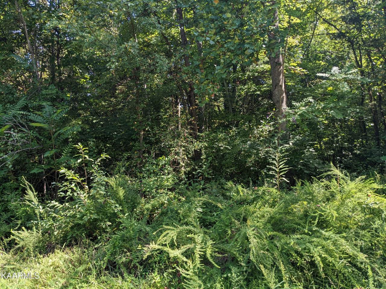 Lot 147 Skyline Pl E - Photo 1