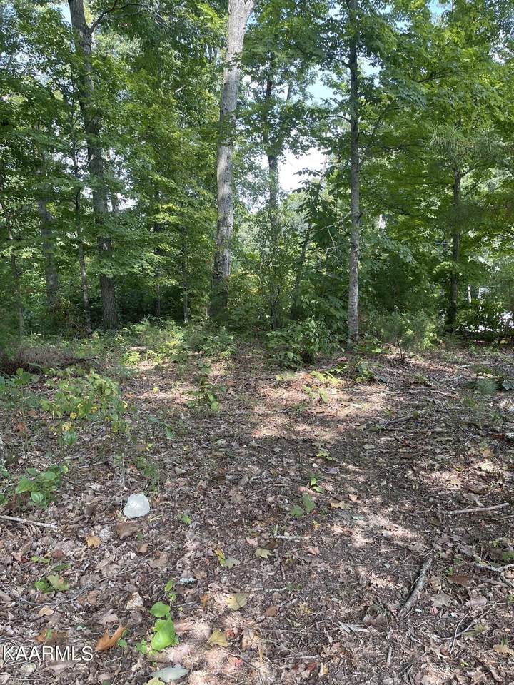 00 County Road 200 - Photo 1