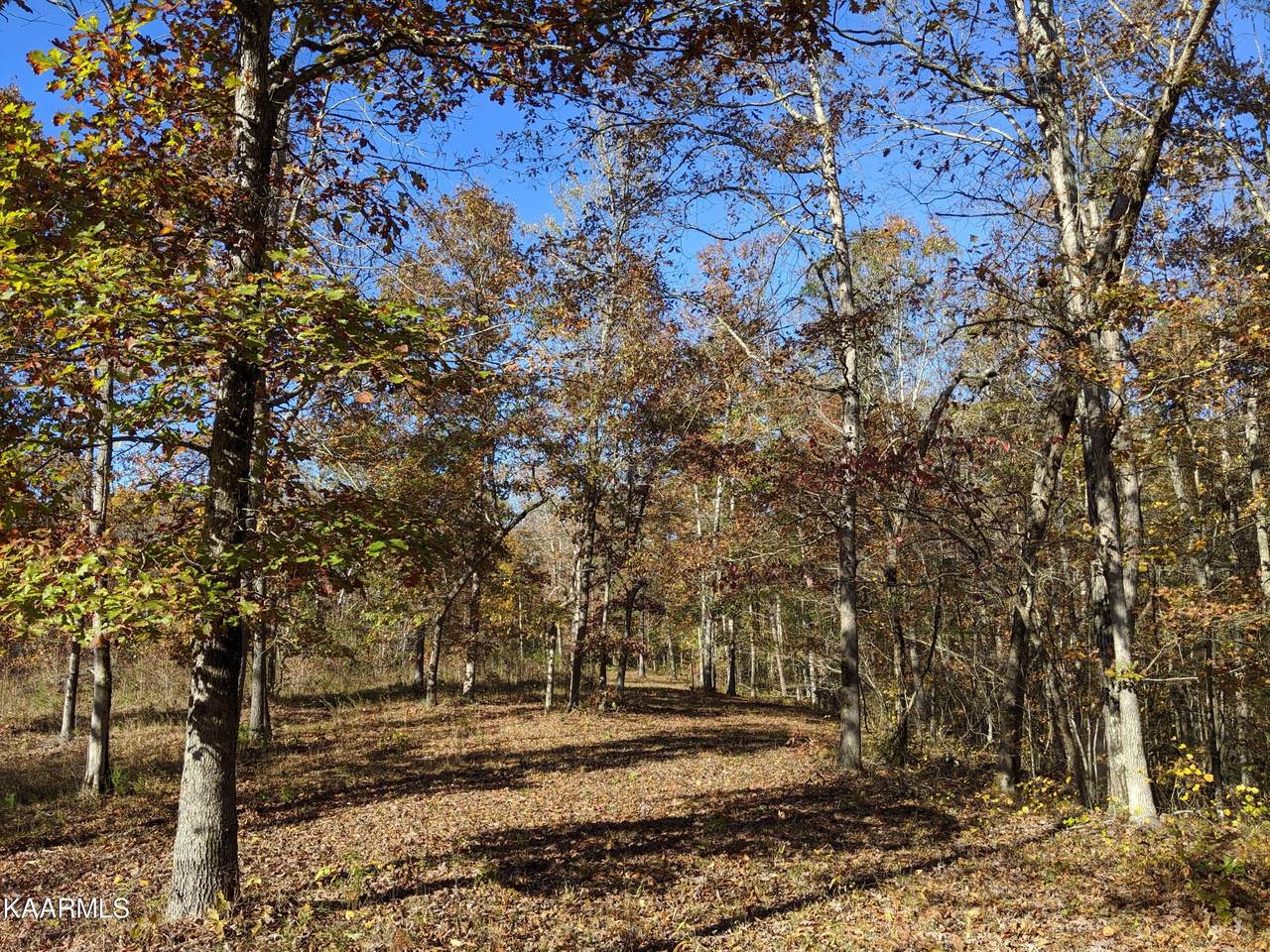 201 Old Ridge Rd - Photo 1