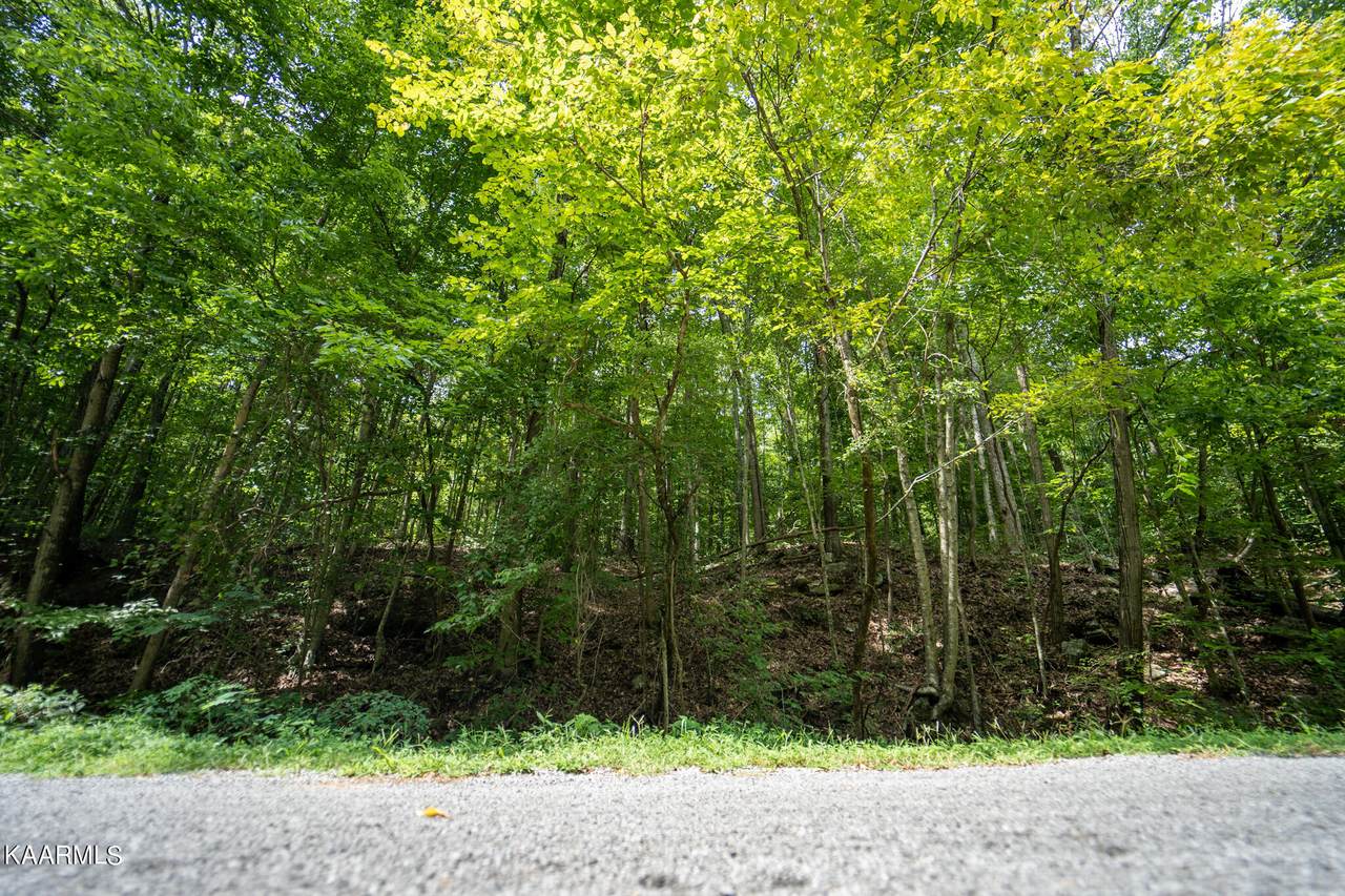 491 Sandy Valley Rd - Photo 1
