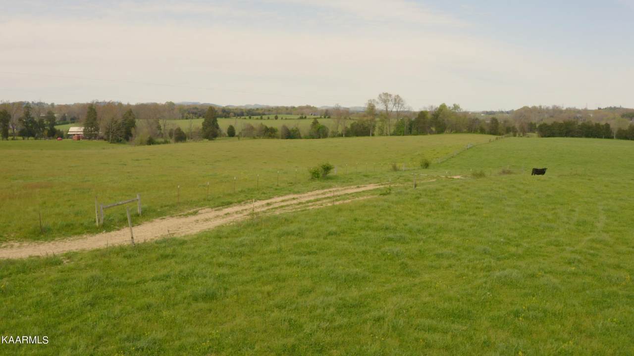 1072 Bulls Gap St Clair Rd - Photo 1