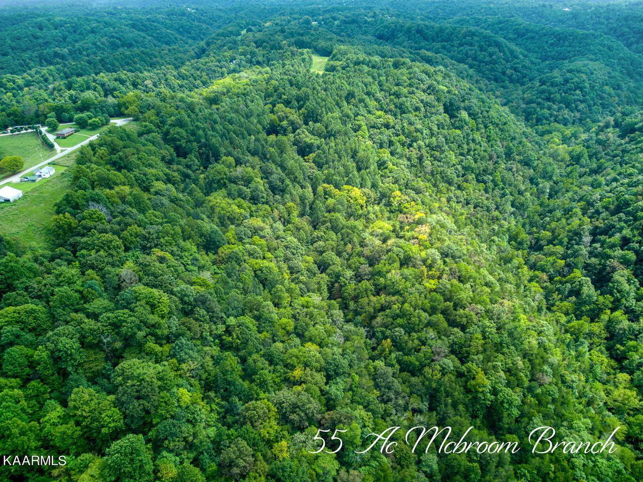 55 AC Mcbroom Branch Rd - Photo 1