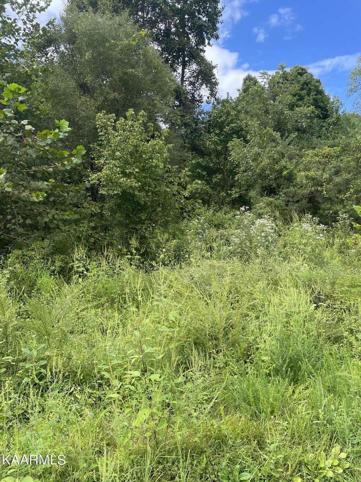 0 Marina Landing Rd - Photo 1