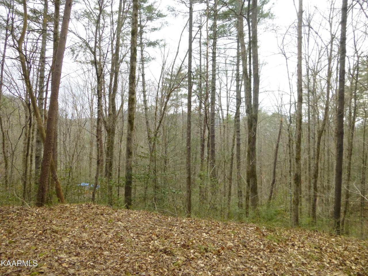Waldens Creek Rd. Lot 4R3 - Photo 1
