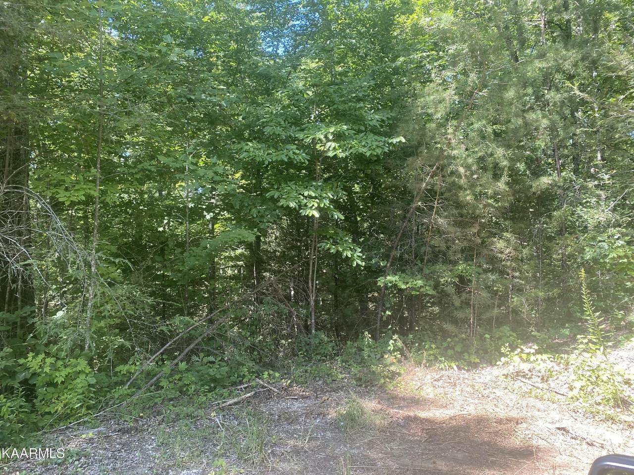 Track 3 Tall Oak Way - Photo 1