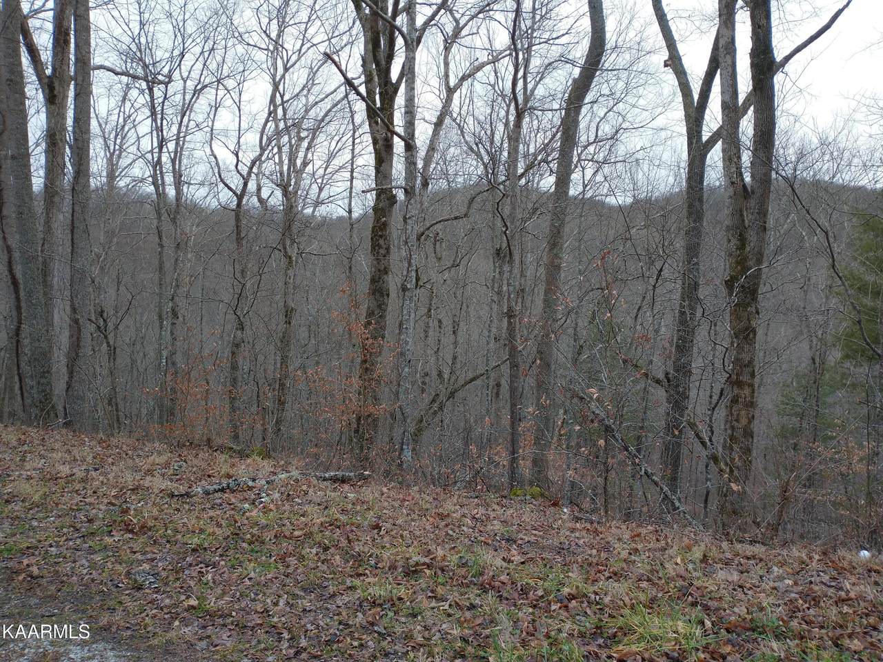 New River Rd/Old Hwy 27 - Photo 1
