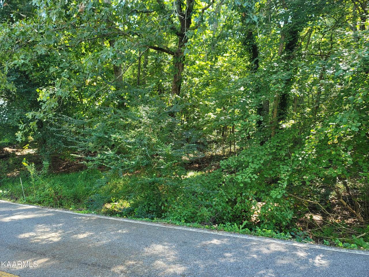 16 Byron Lane - Photo 1