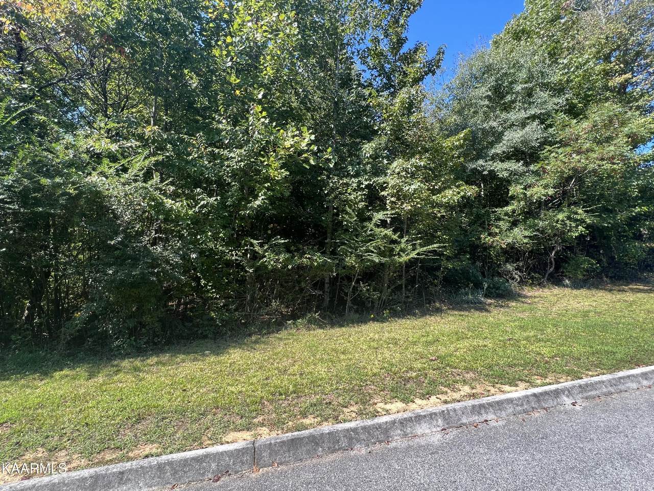 Emory Cove Drive - Photo 1