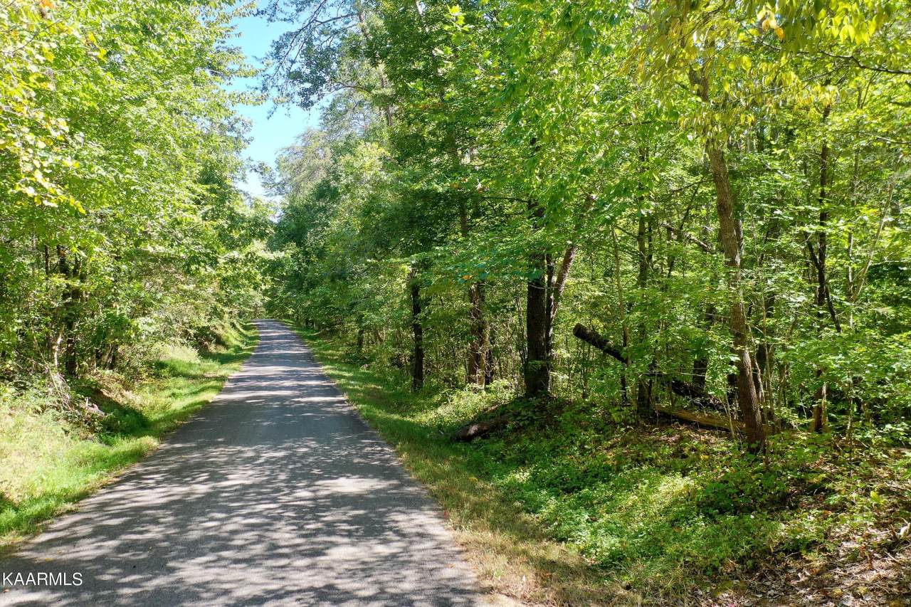 Floyd Porter Rd - Photo 1