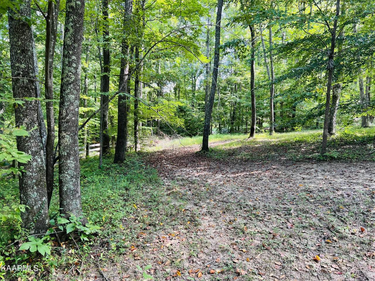 Lot 9 Stephens Cove Rd - Photo 1
