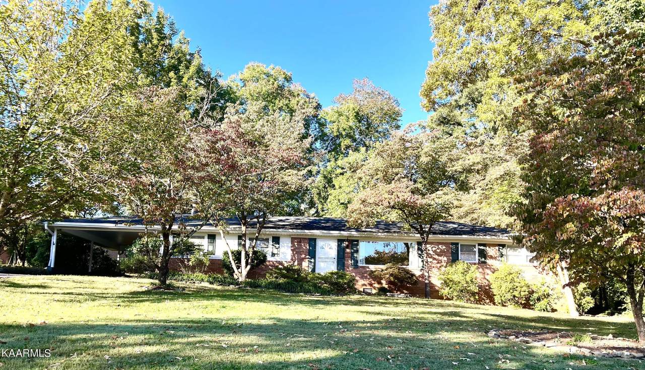 7013 Rollins Rd - Photo 1