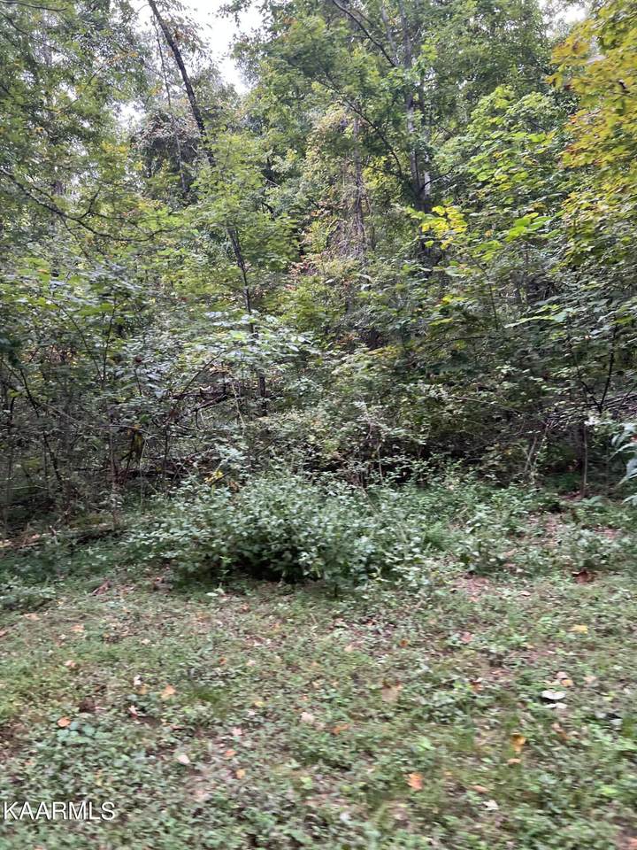 Lester Drive - Photo 1