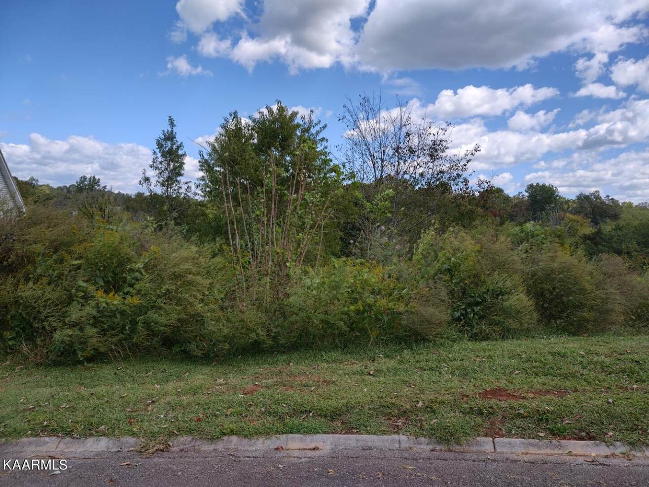 James Rd. Rd - Photo 1