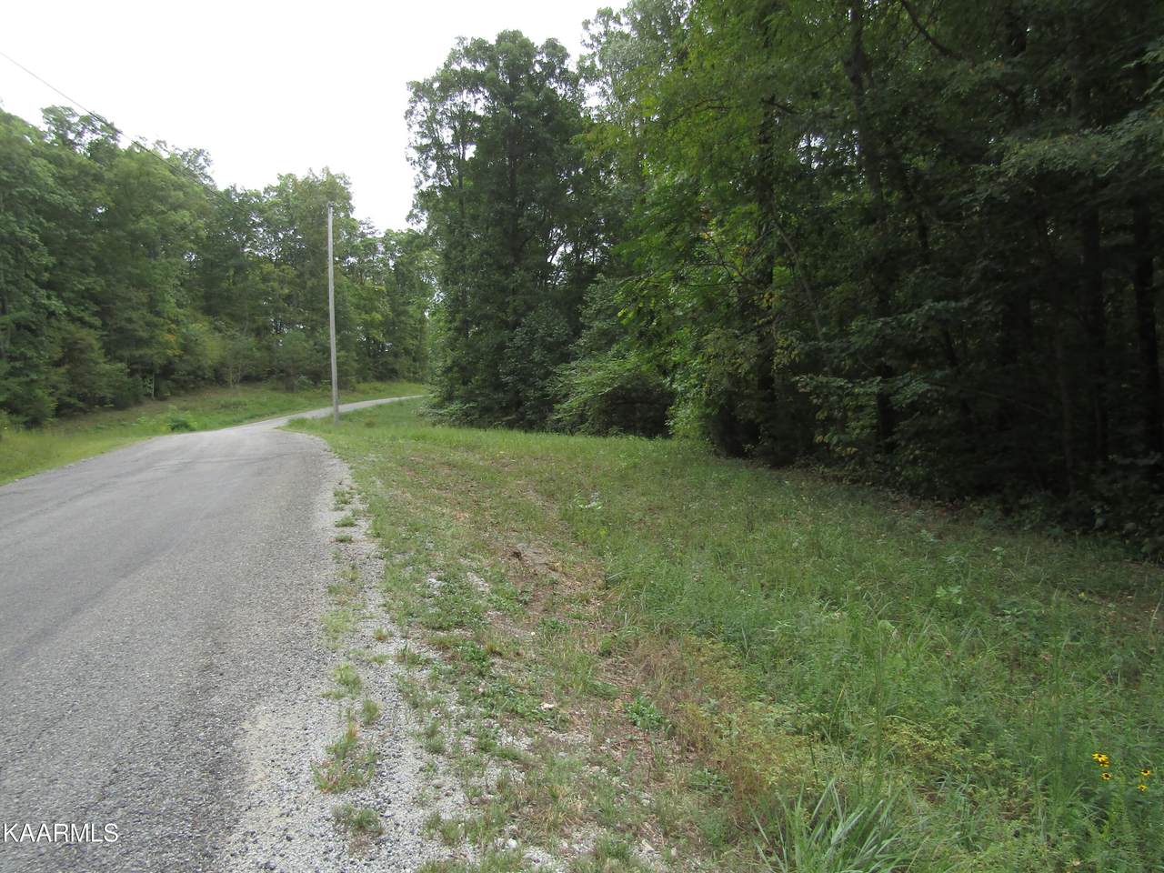 53 Quail Run - Photo 1
