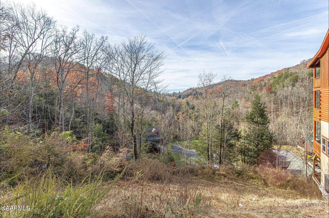 Lot 41 Smoky Ridge Way - Photo 1