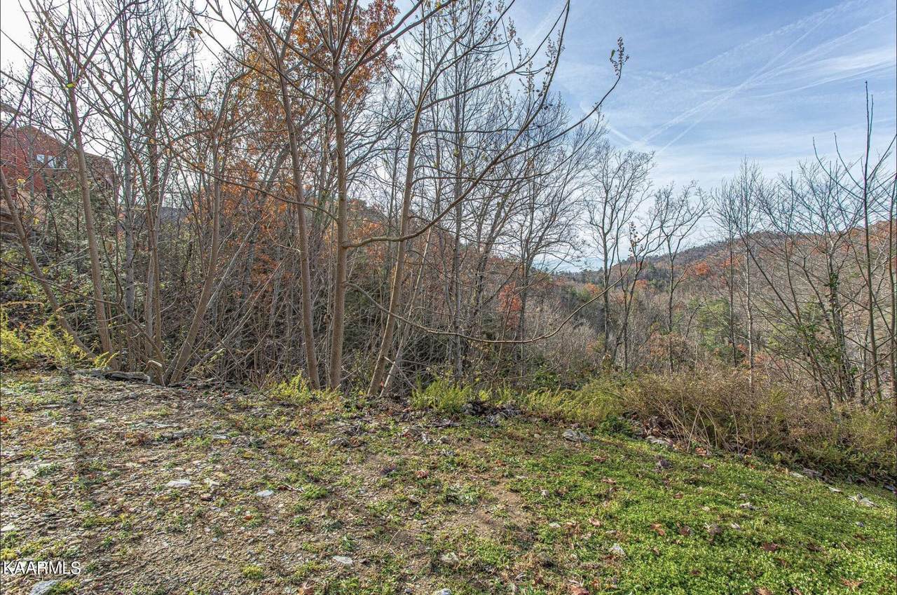 Lot 42 Smoky Ridge Way - Photo 1