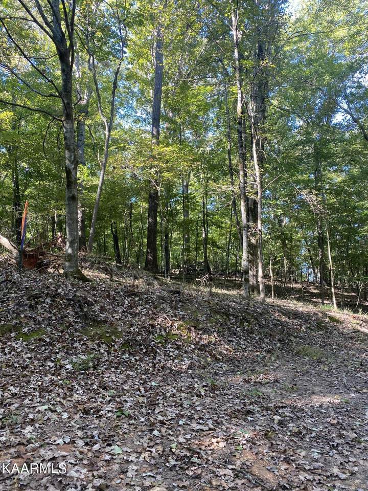 Ridge Drive - Photo 1