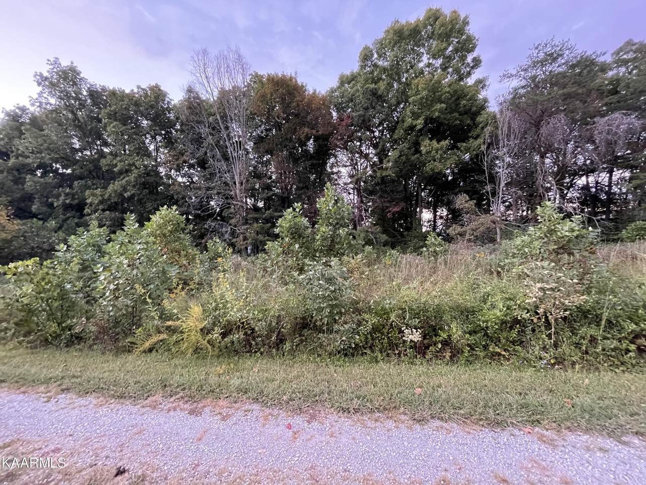 Lot 4 Top Side Rd - Photo 1