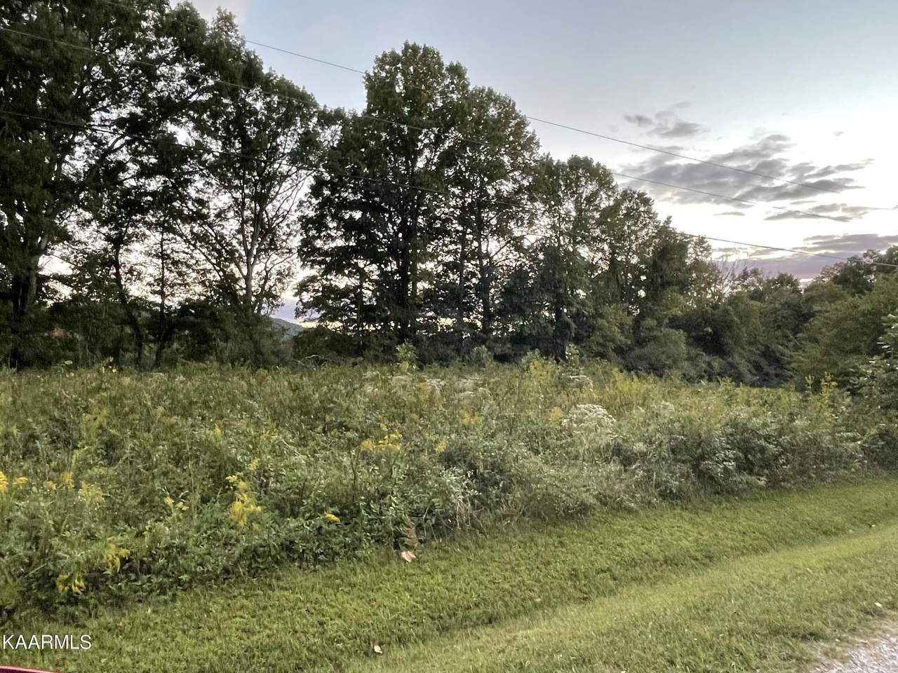 Lot 8 Top Side Rd - Photo 1