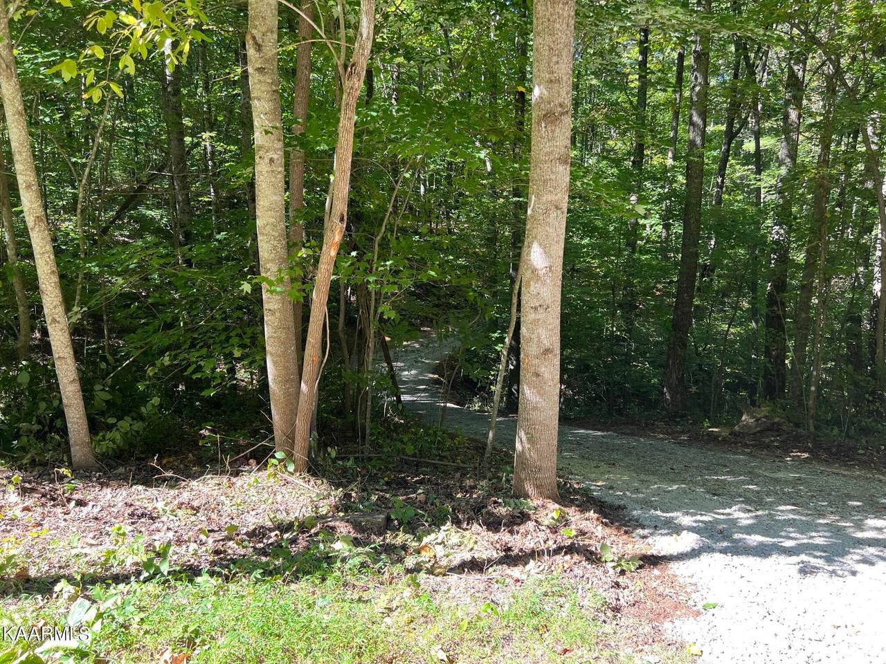 Green Place - Photo 1