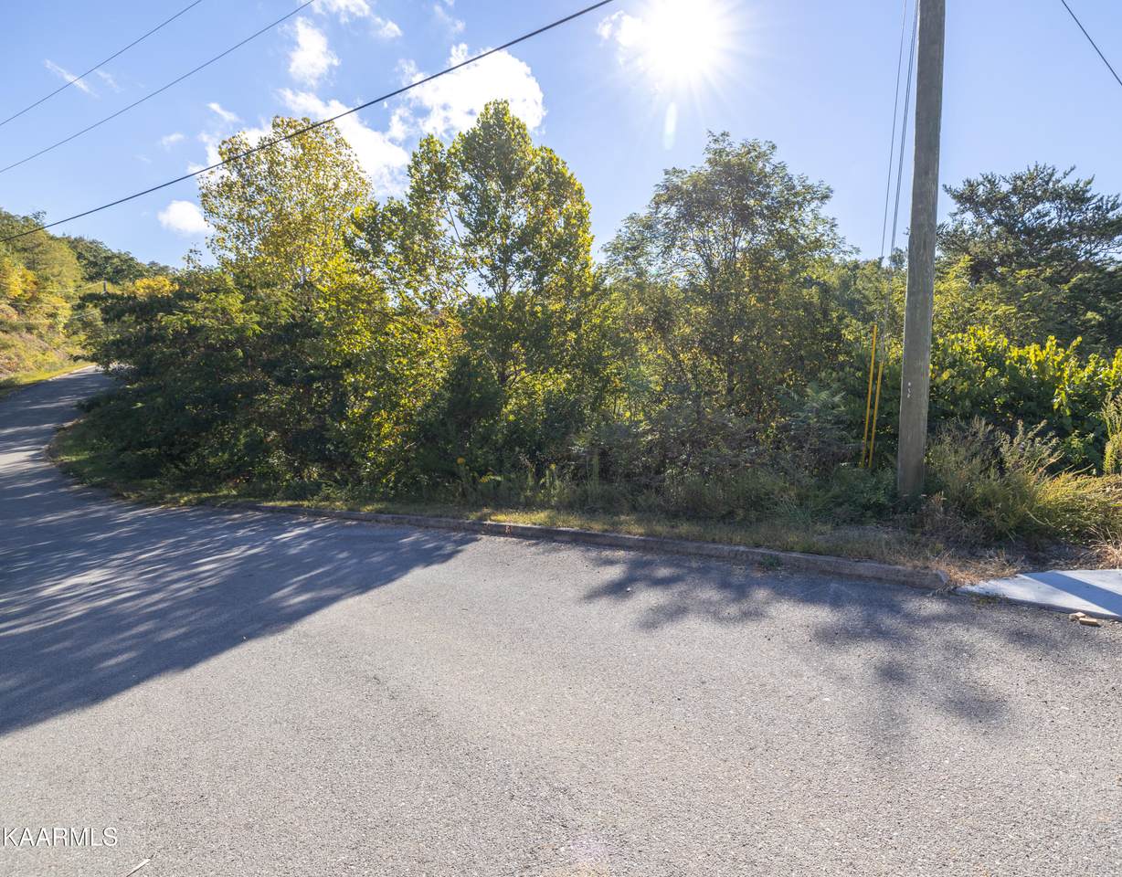 Lot 17 Penelope Lane - Photo 1