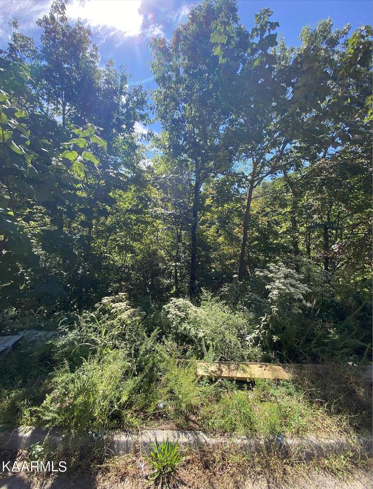 Lot 59 Smoky Ridge Way - Photo 1