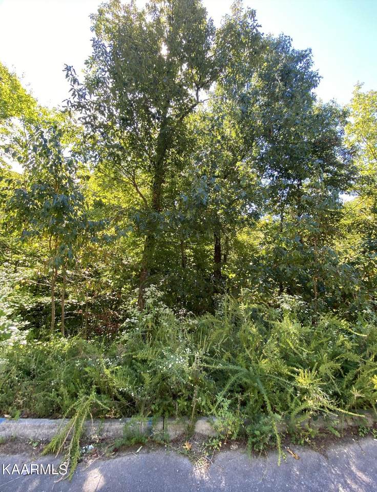 Lot 60 Smoky Ridge Way - Photo 1