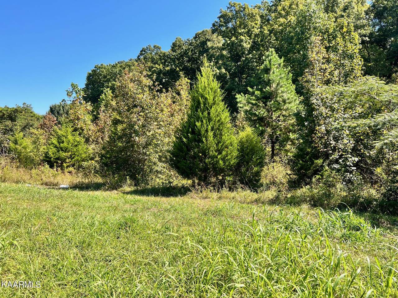 Gallaher Rd - Photo 1