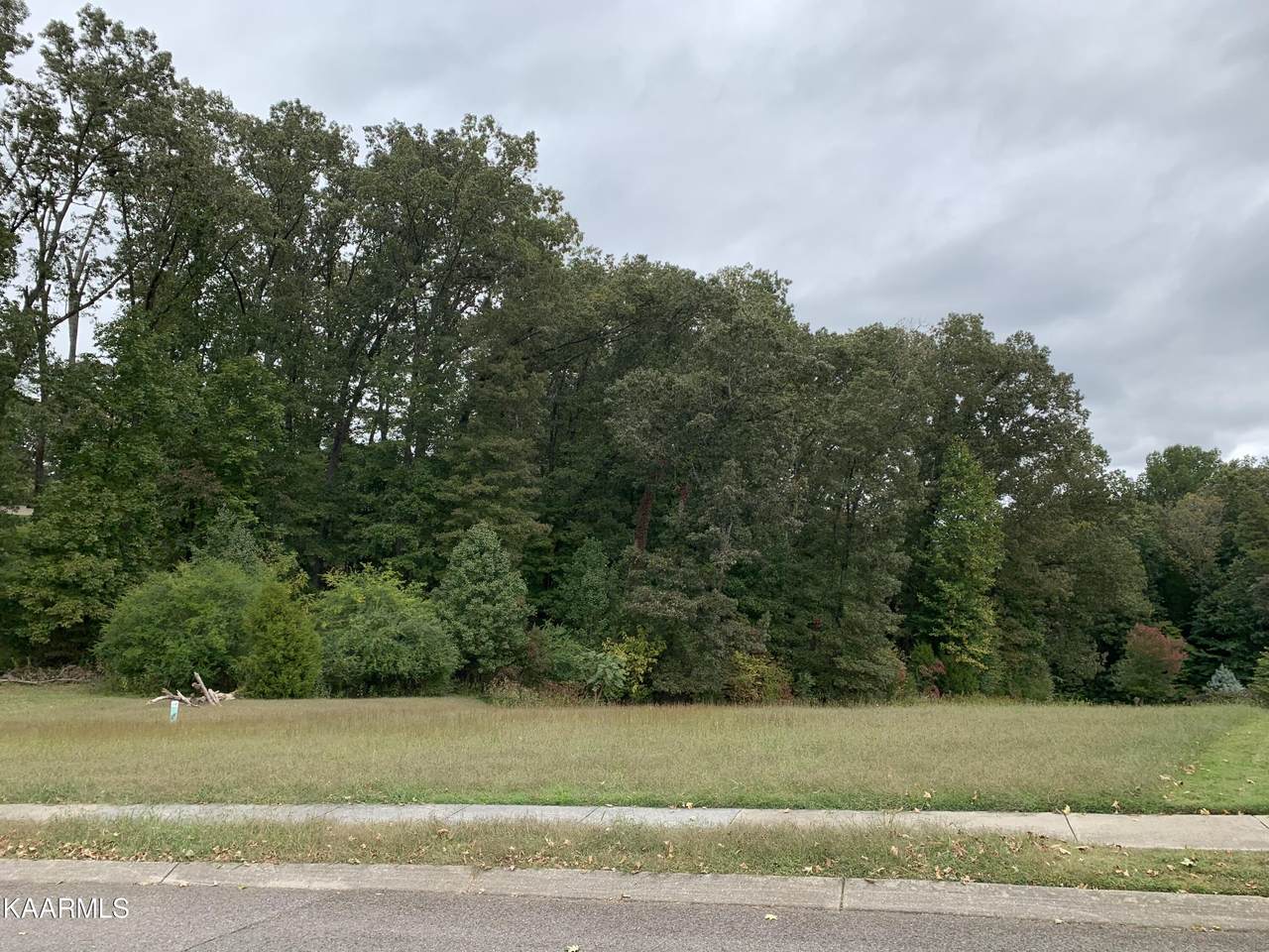 2520 Shady Meadow Lane - Photo 1