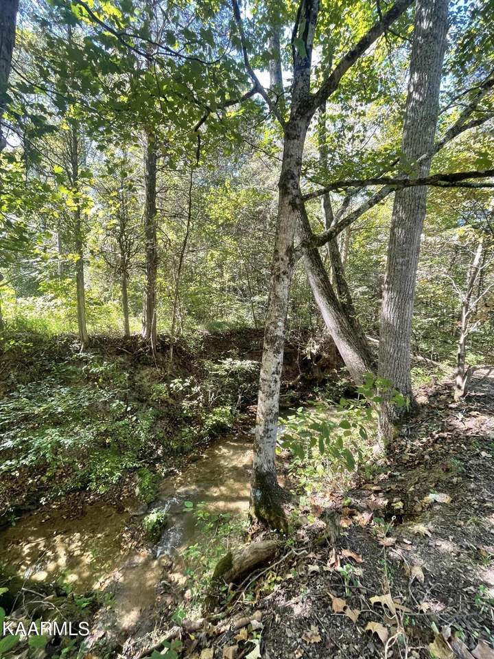 4165 Whitehouse Rd - Photo 1