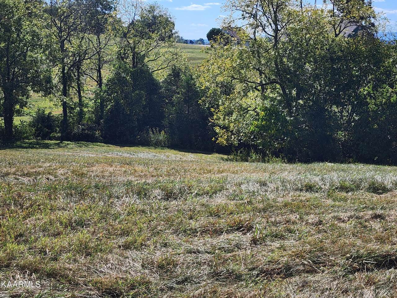 116 Lot Russell Brothers Rd - Photo 1