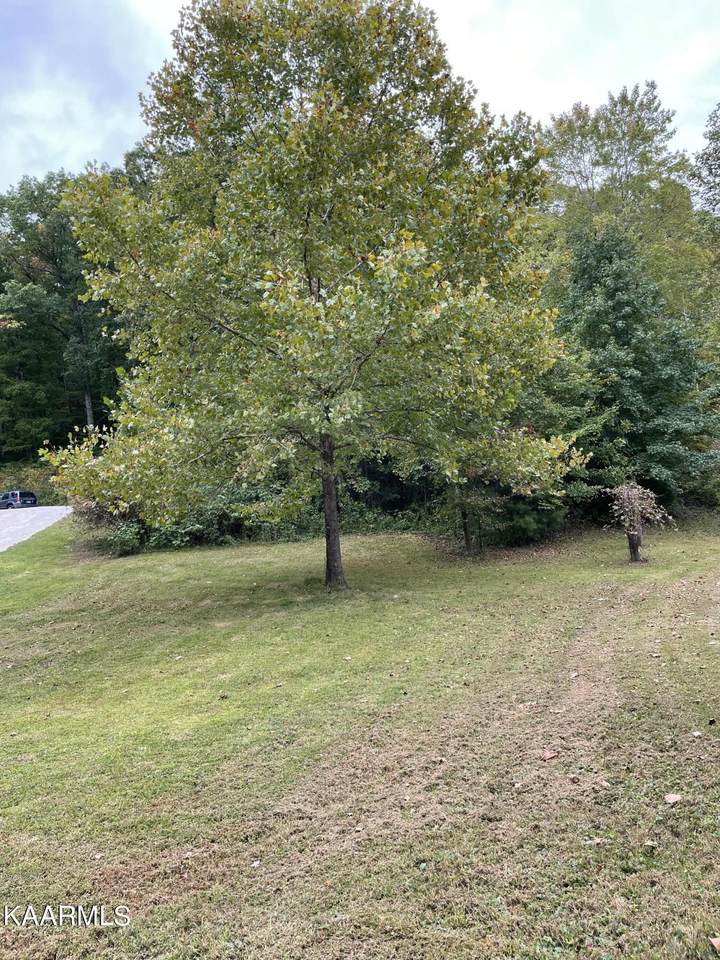 Balfour Drive - Photo 1