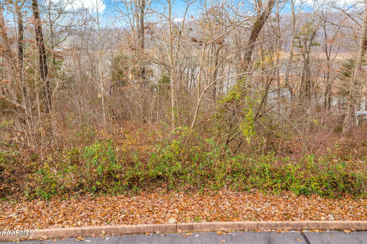 Lot 25 Aidans Tr - Photo 1