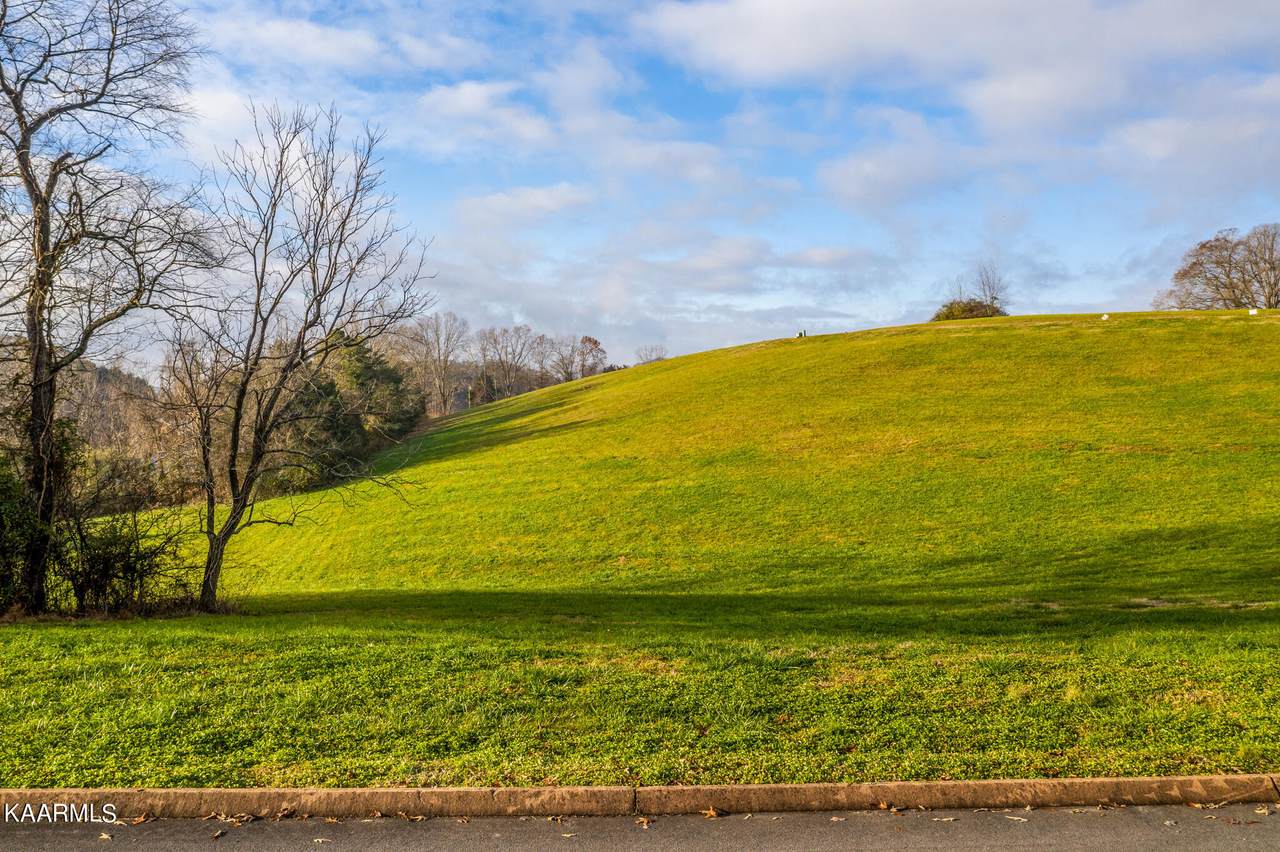 Lot 43 Cow Poke Lane - Photo 1