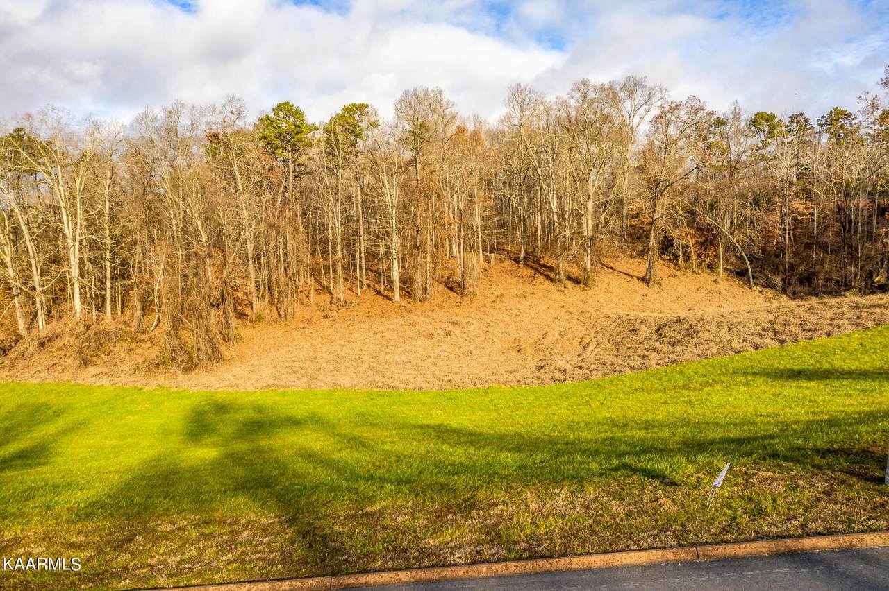 Lot 56 Cow Poke Lane - Photo 1