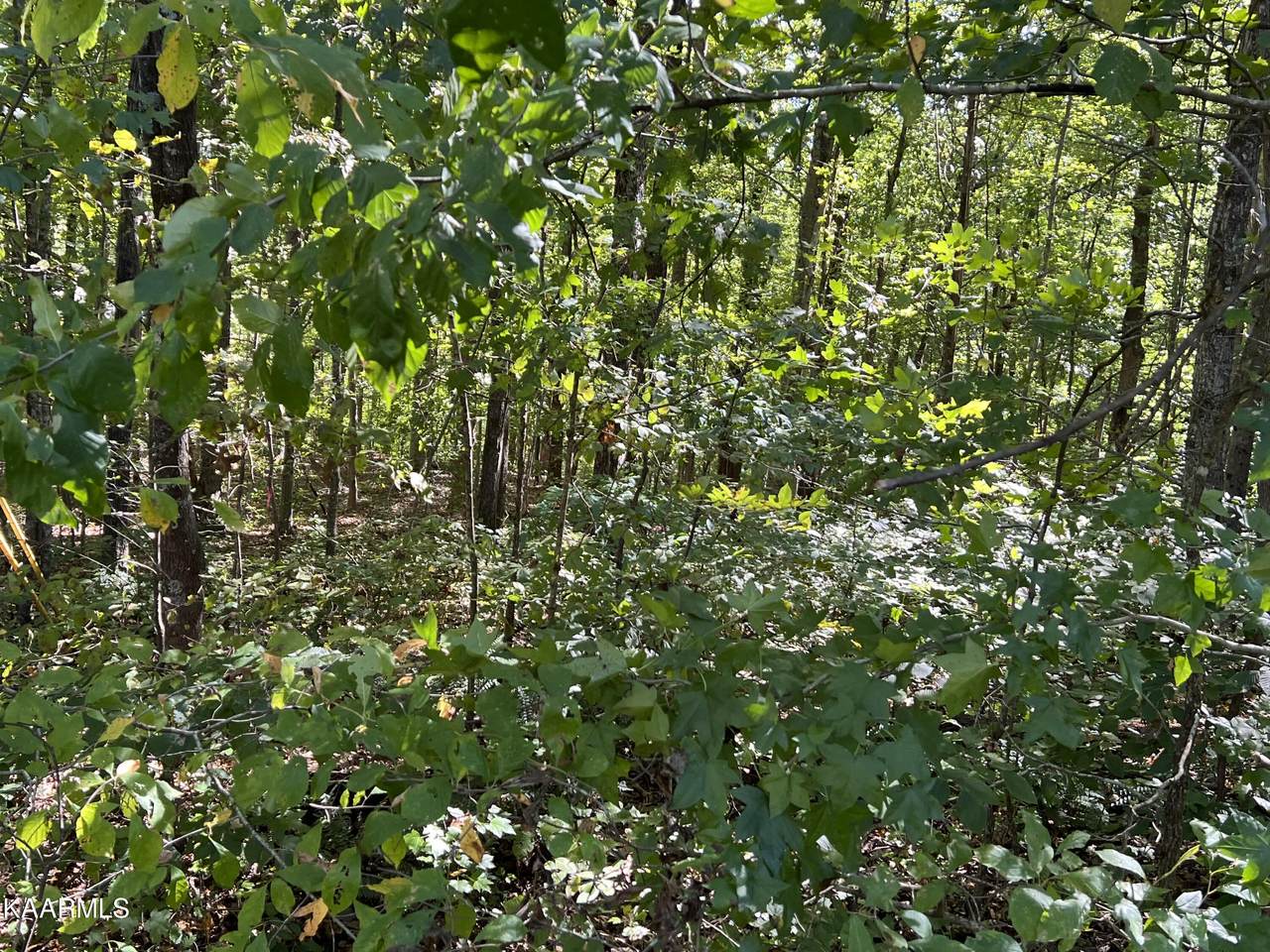 4 acres Cope Cemetery Rd - Photo 1