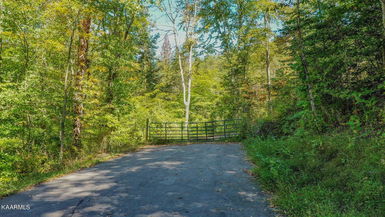 Johnson Farm Rd - Photo 1