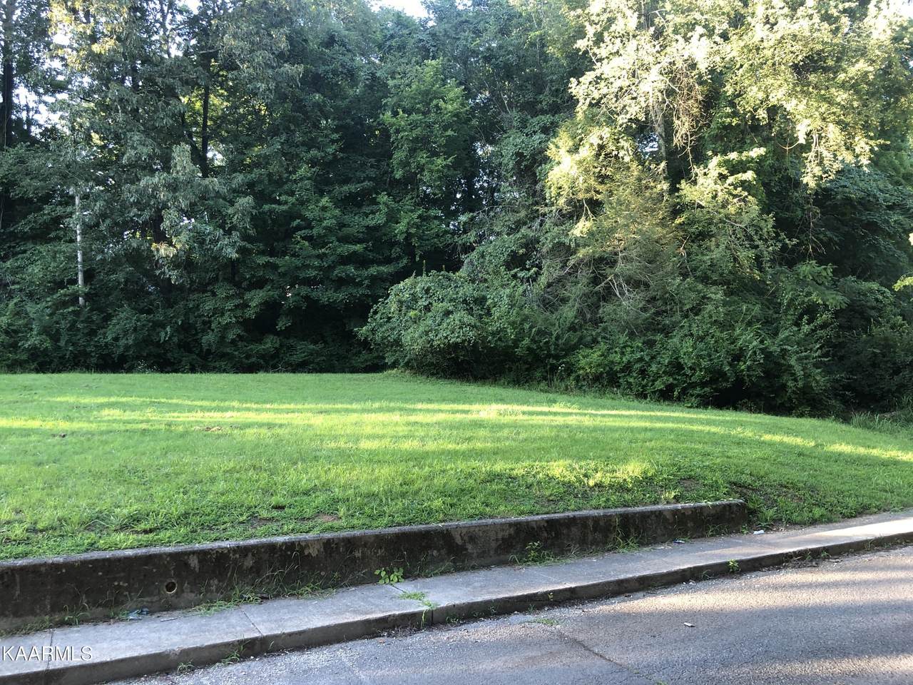 157 Wade Lane - Photo 1