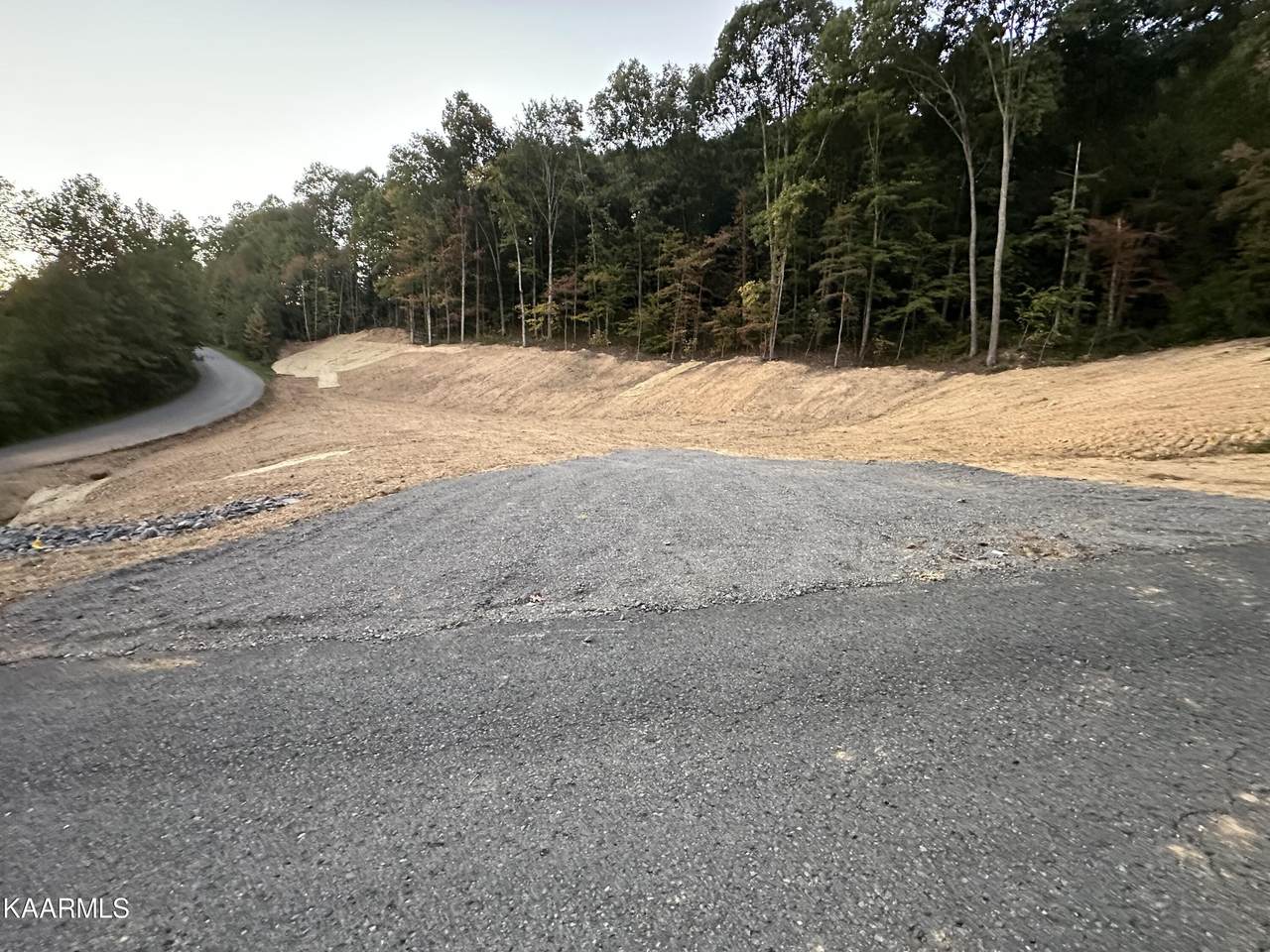 Venado Drive - Photo 1