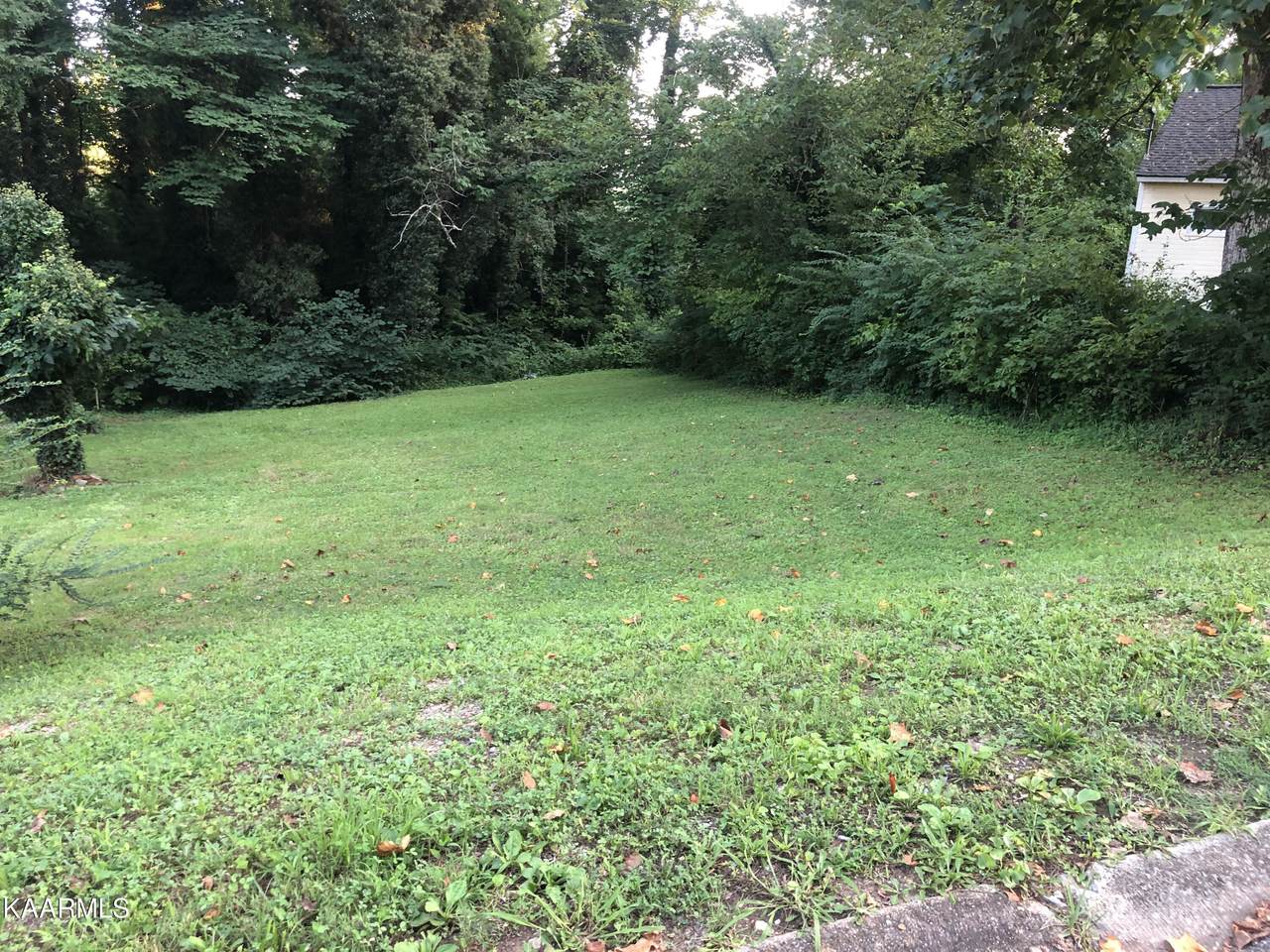 121 Wainwright Rd - Photo 1